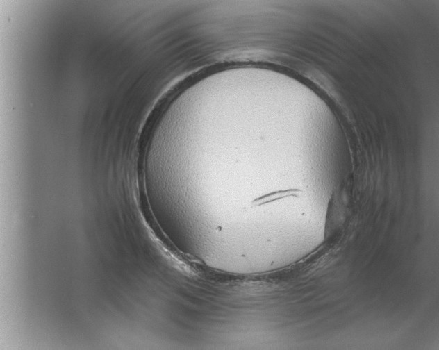 X0000067480984200604281915