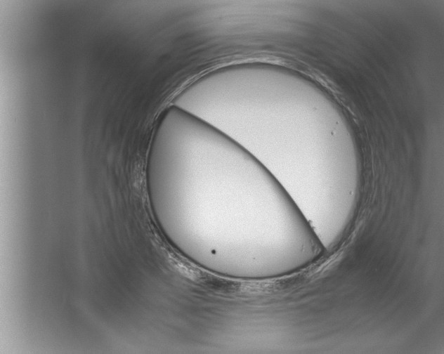 X0000067480985200604281915