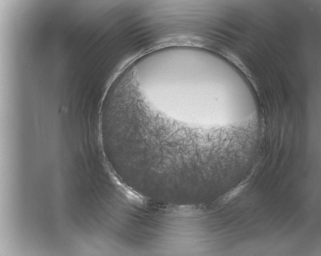 X0000067480986200604281915