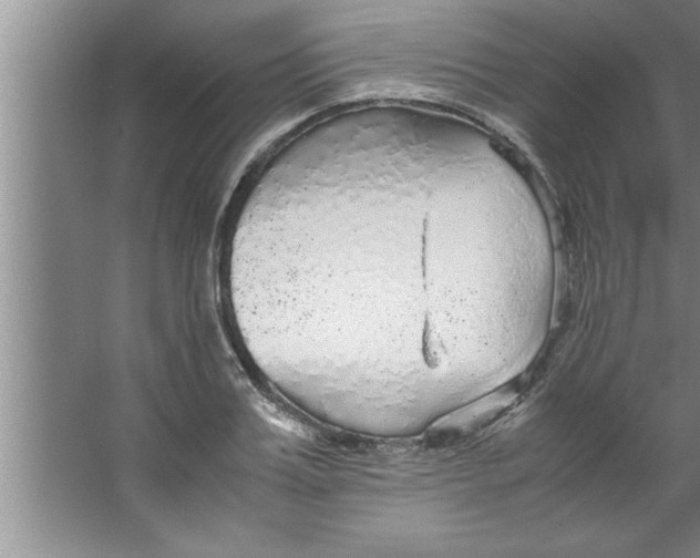 X0000067480987200604281915