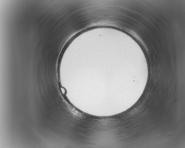 X0000067480988200604281915