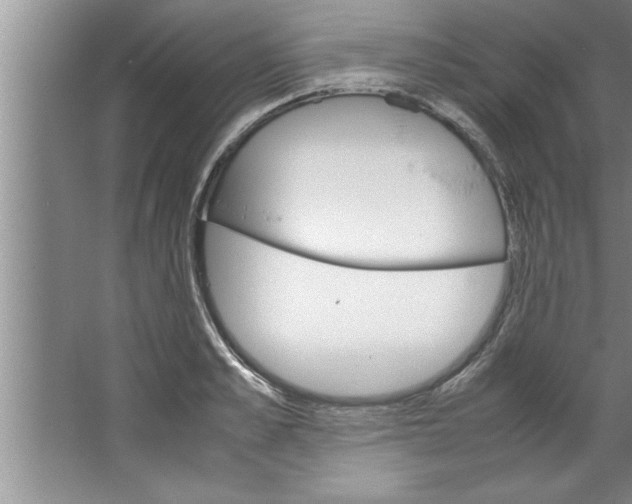 X0000067480989200604281915