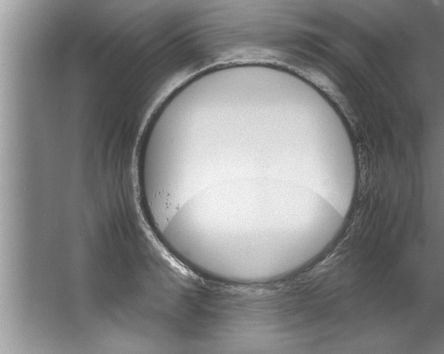 X0000067480990200604281915