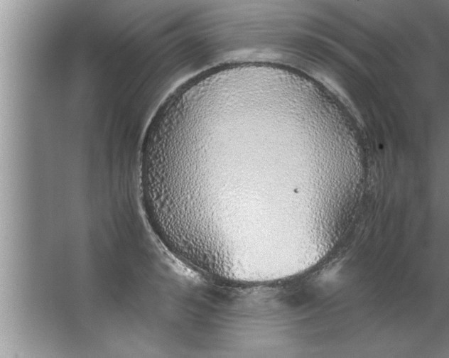 X0000067480992200604281915