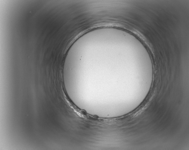 X0000067480993200604281915