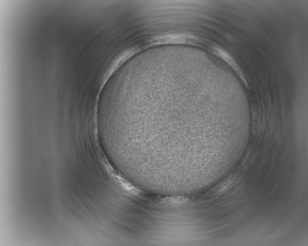 X0000067480994200604281915