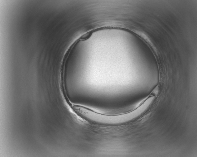 X0000067480999200604281915