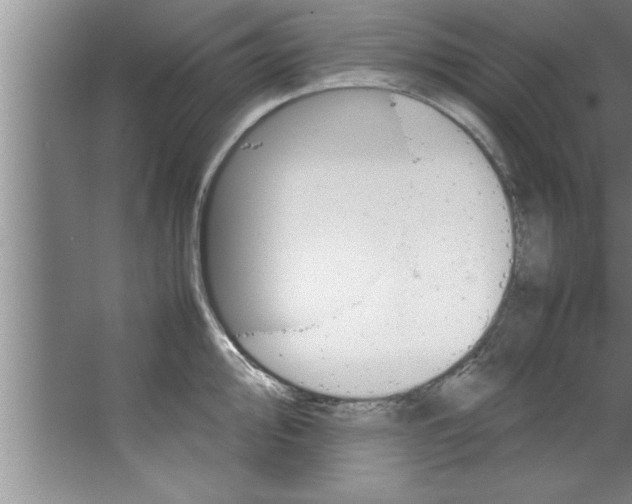 X0000067481000200604281915