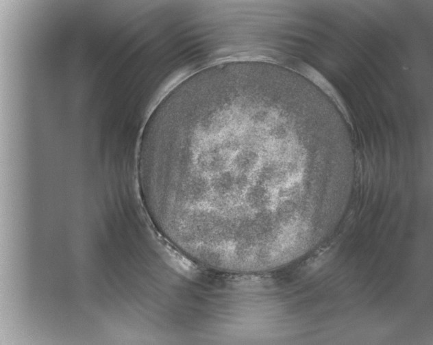 X0000067481002200604281915