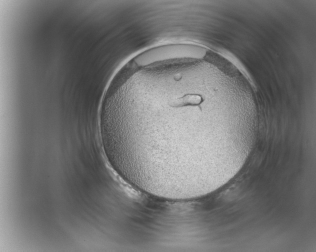 X0000067481004200604281915