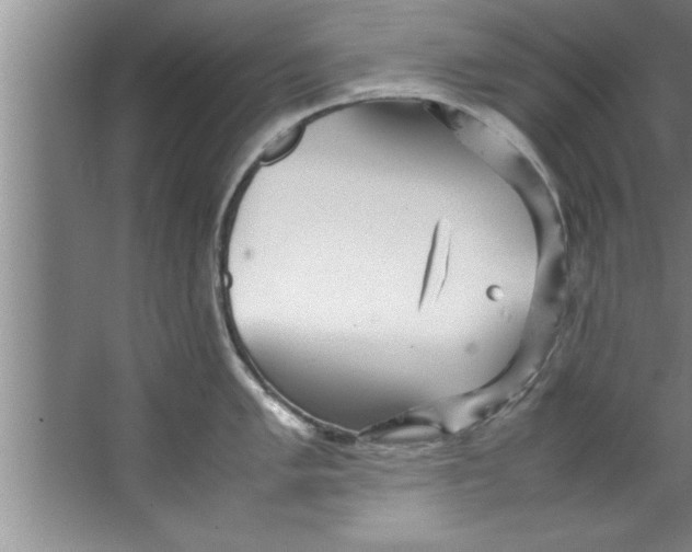 X0000067481005200604281915