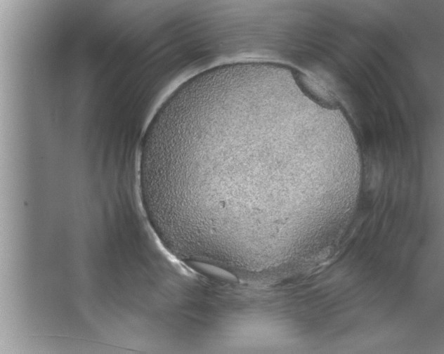 X0000067481006200604281915