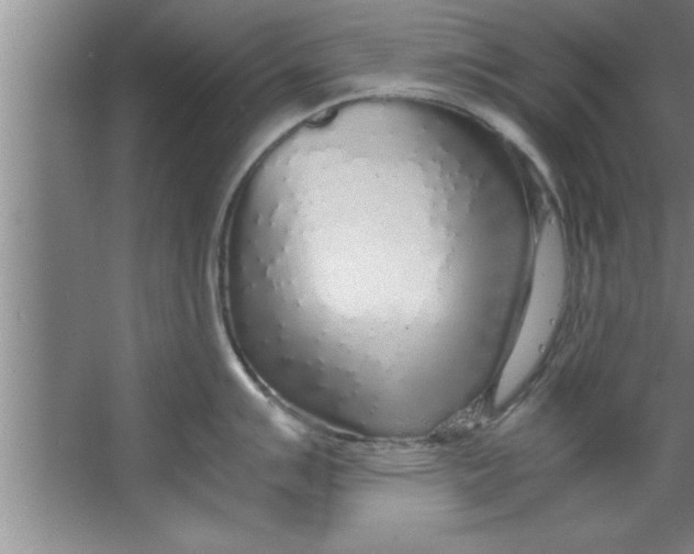 X0000067481007200604281915