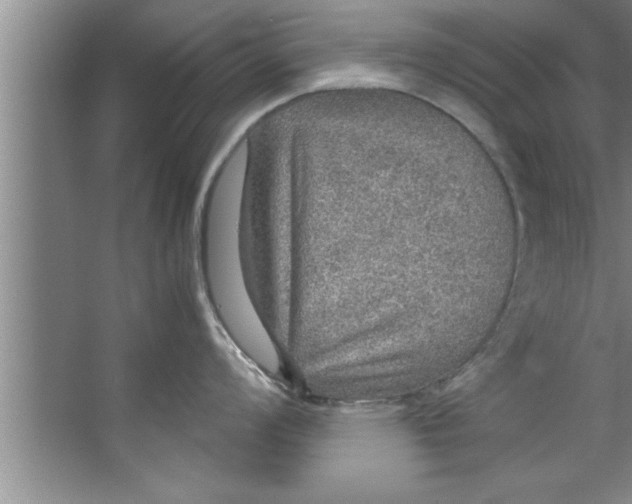 X0000067481008200604281915