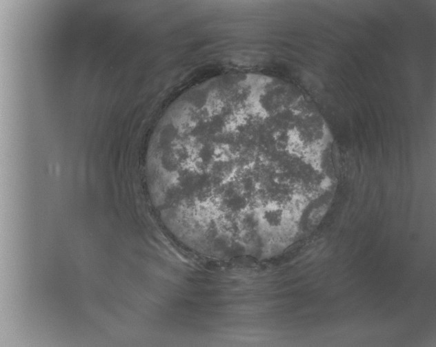 X0000067481009200604281914