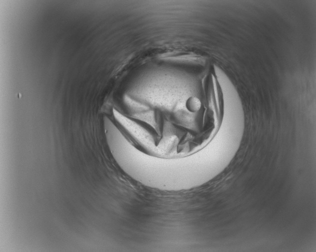 X0000067481010200604281914