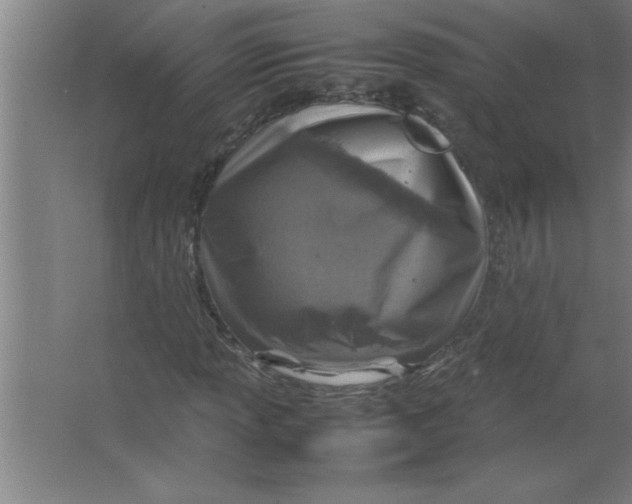 X0000067481013200604281914