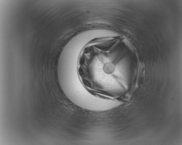 X0000067481014200604281914