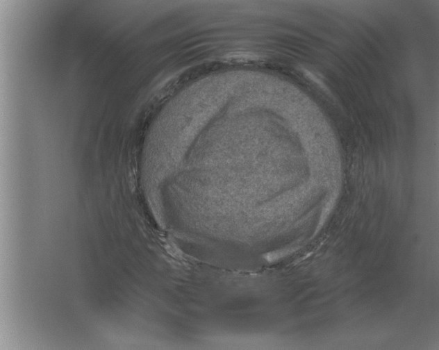 X0000067481015200604281914