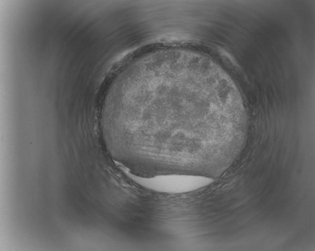 X0000067481016200604281914