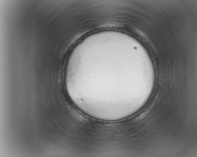 X0000067481017200604281914