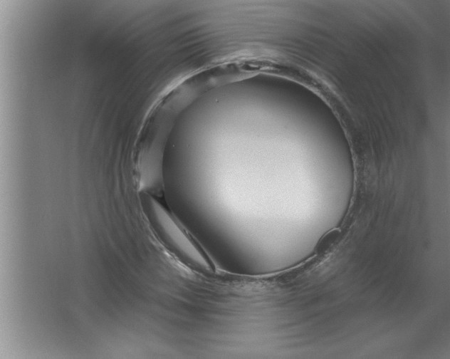 X0000067481018200604281914