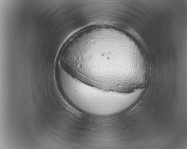 X0000067481020200604281914