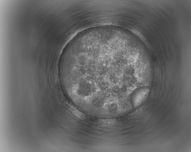 X0000067481023200604281914