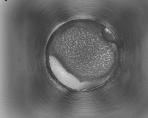 X0000067481024200604281914