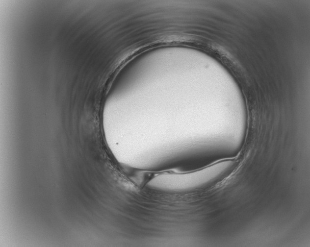 X0000067481025200604281914