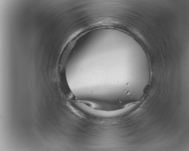 X0000067481026200604281914