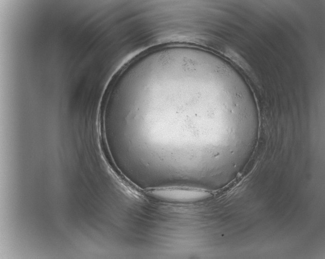 X0000067481028200604281915