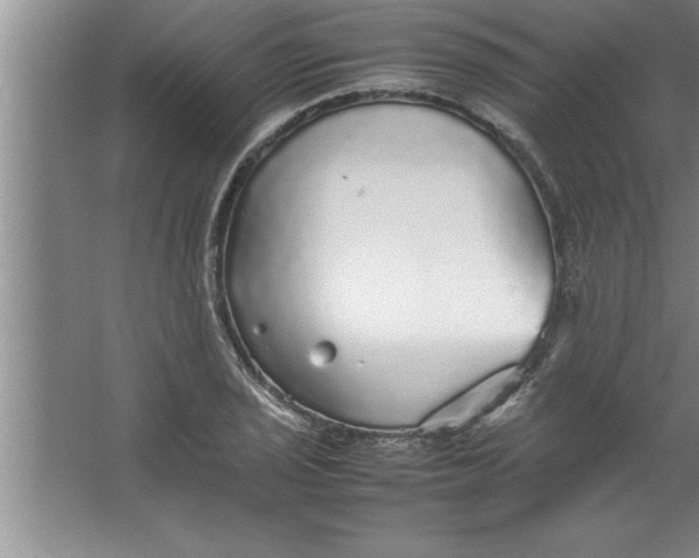 X0000067481029200604281915