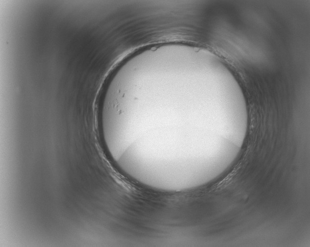 X0000067481031200604281915