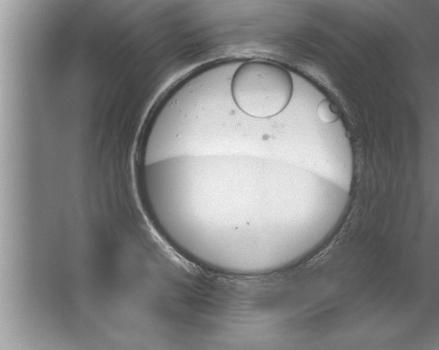 X0000067481032200604281915