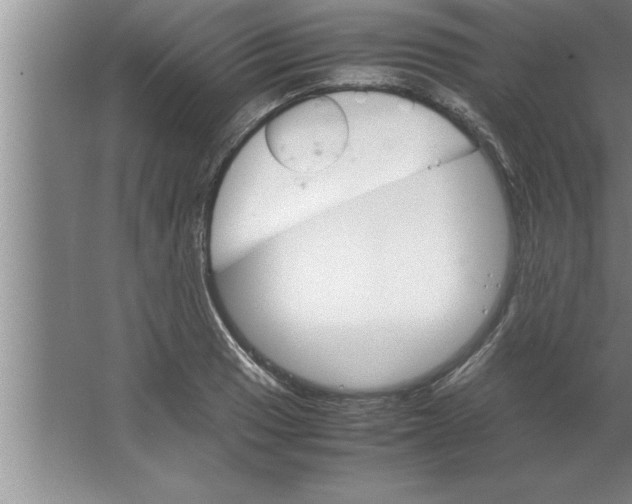 X0000067481033200604281915