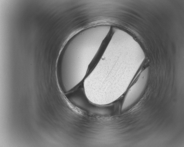 X0000067481034200604281915