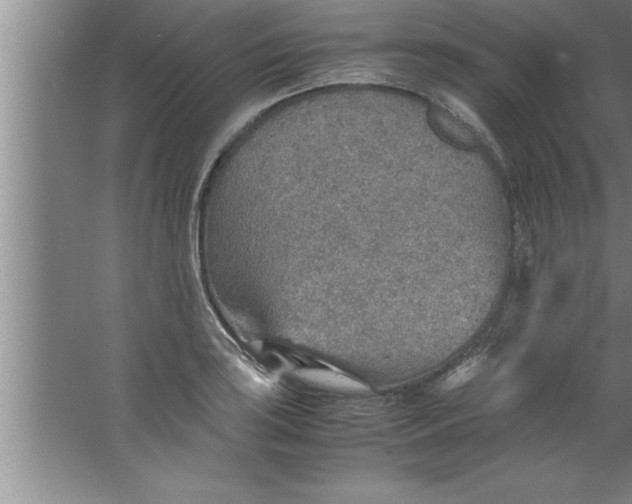 X0000067481035200604281915