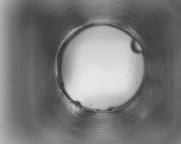 X0000067481036200604281915