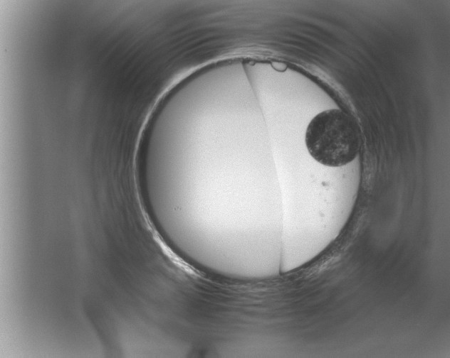 X0000067481037200604281915