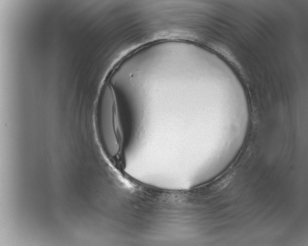 X0000067481040200604281915