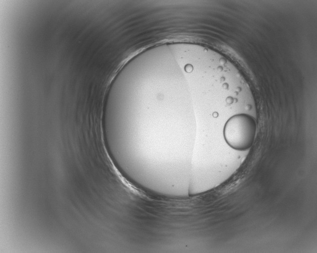 X0000067481041200604281915