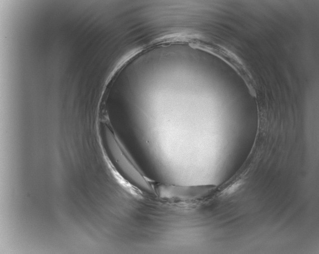 X0000067481042200604281915