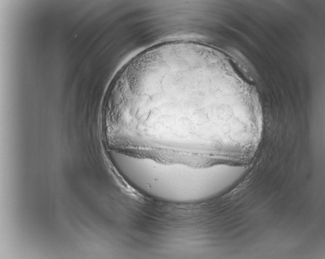 X0000067481044200604281915