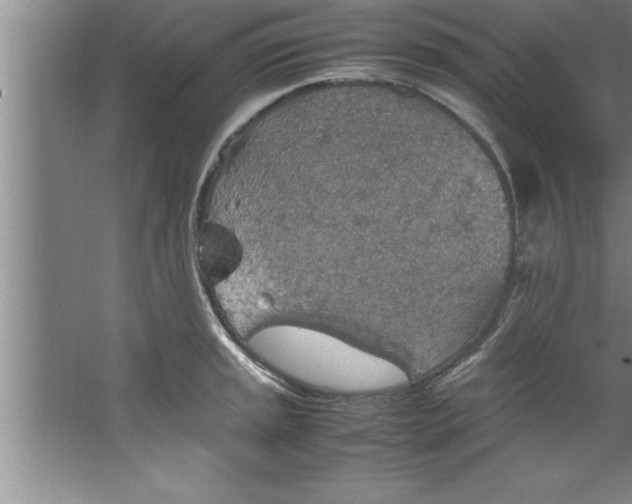 X0000067481045200604281915