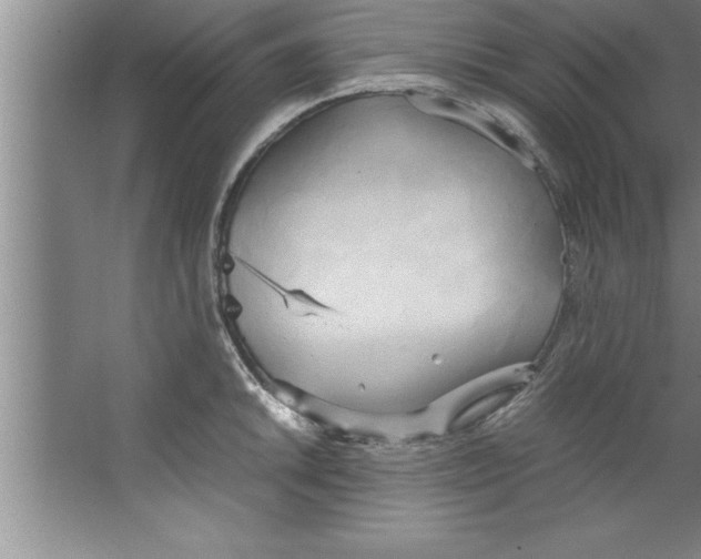 X0000067481046200604281915