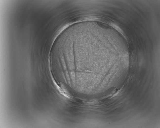 X0000067481047200604281915