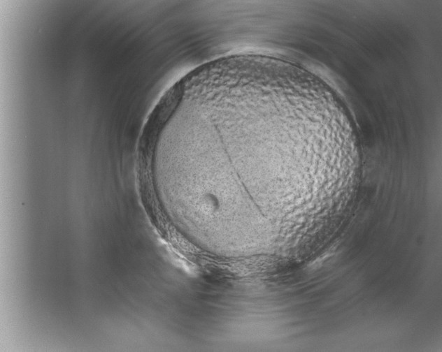 X0000067481048200604281915