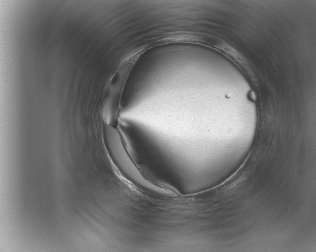 X0000067481049200604281915