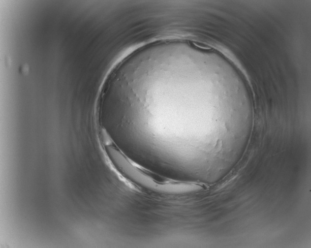 X0000067481053200604281915